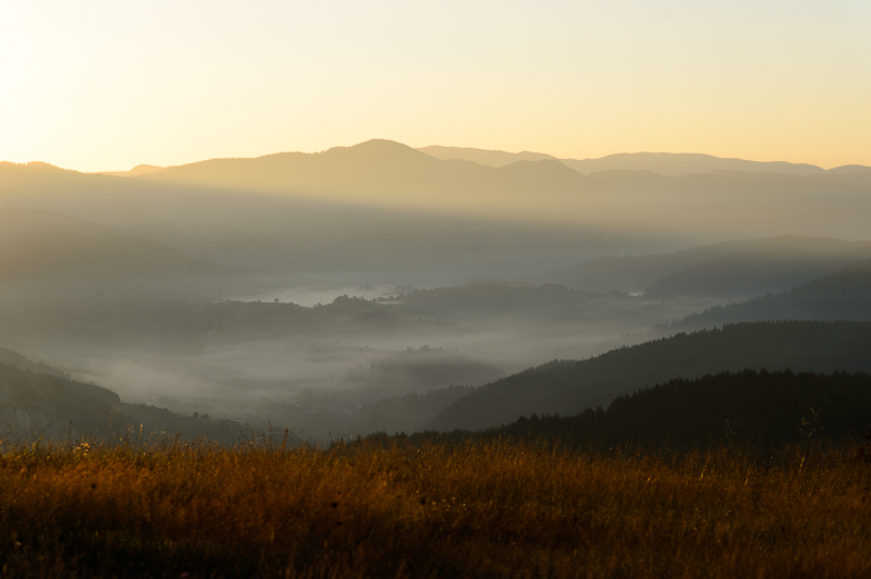 20140813-_DSC9499