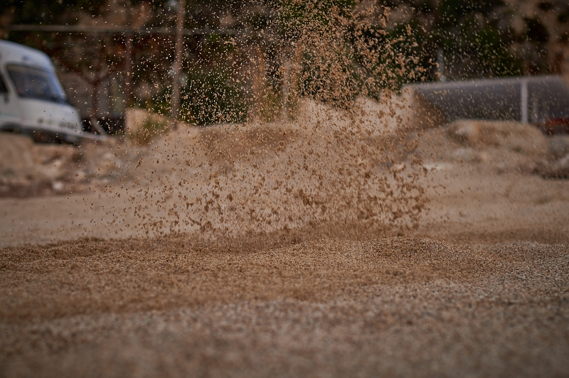 _DSC6781