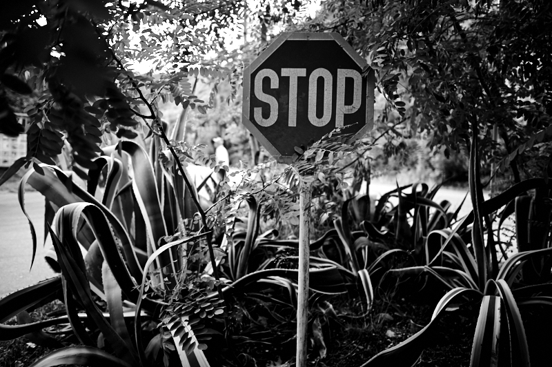AO_170805_0006
