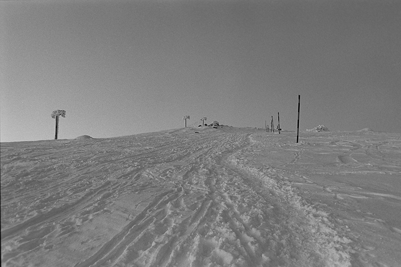 ilford delta 40000103